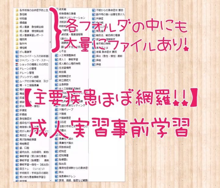 看護実習 看護学生 国家試験 レポート 手順書 アセスメント 関連図 国家試験