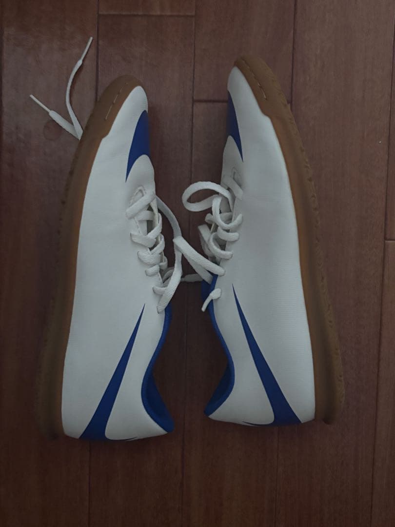 NIKE ナイキ フットサルシューズ ブラバータ X II TF