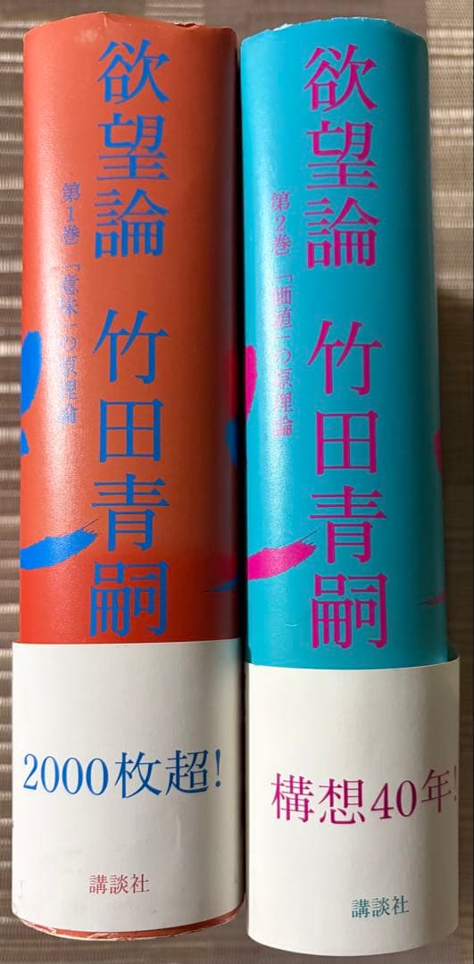 【希少】欲望論 全2巻セット 竹田青嗣 講談社 帯付き 哲学書 名著