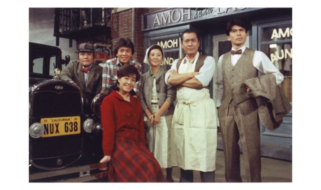 NHK 大河ドラマ 山河燃ゆ 完全版 DVD 全13巻セット 中古