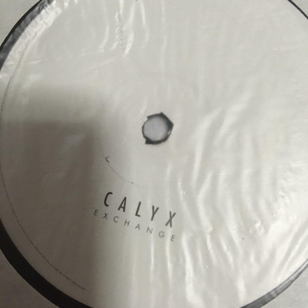 CALYX / DOWNPOUR 12インチx2