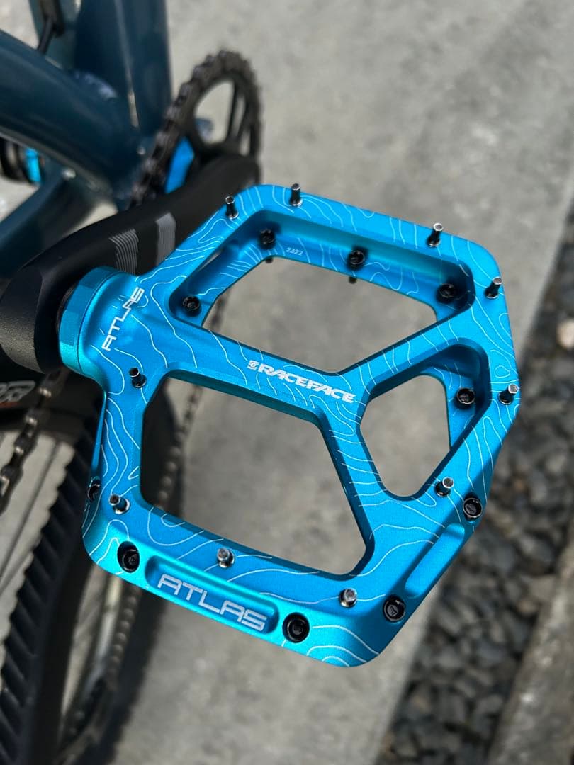 ② SANTA CRUZ chameleon カメレオン　サンタクルーズ　極美品