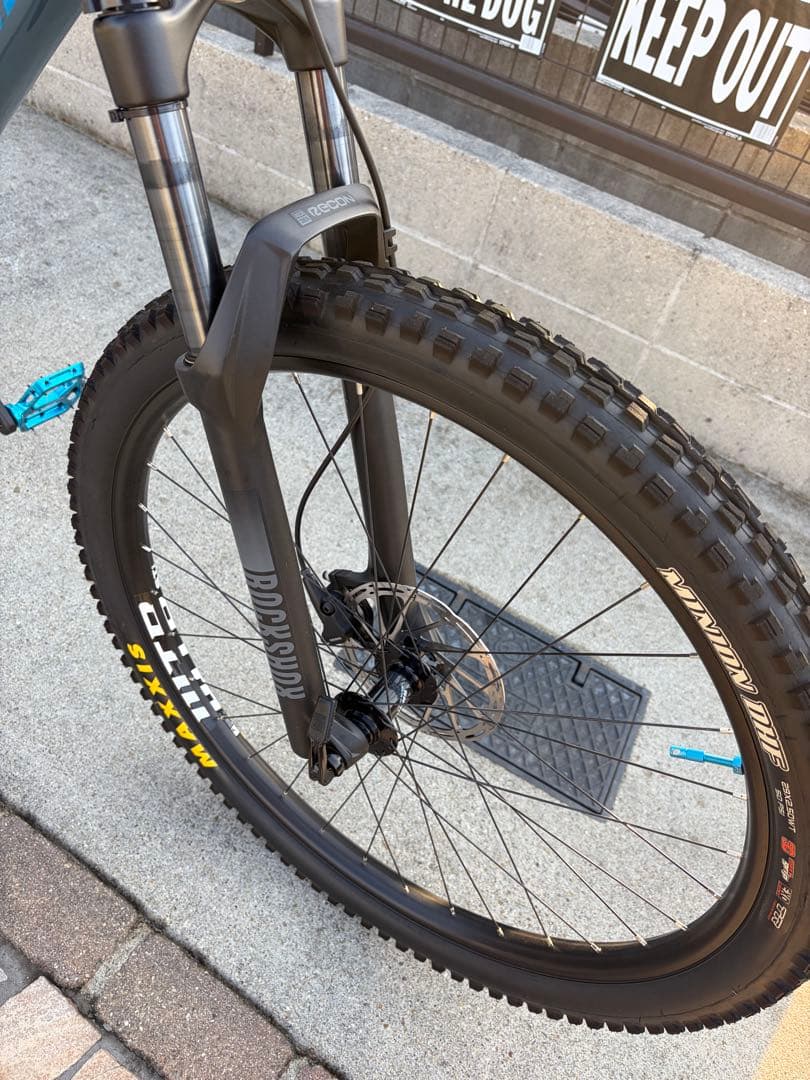 ② SANTA CRUZ chameleon カメレオン　サンタクルーズ　極美品