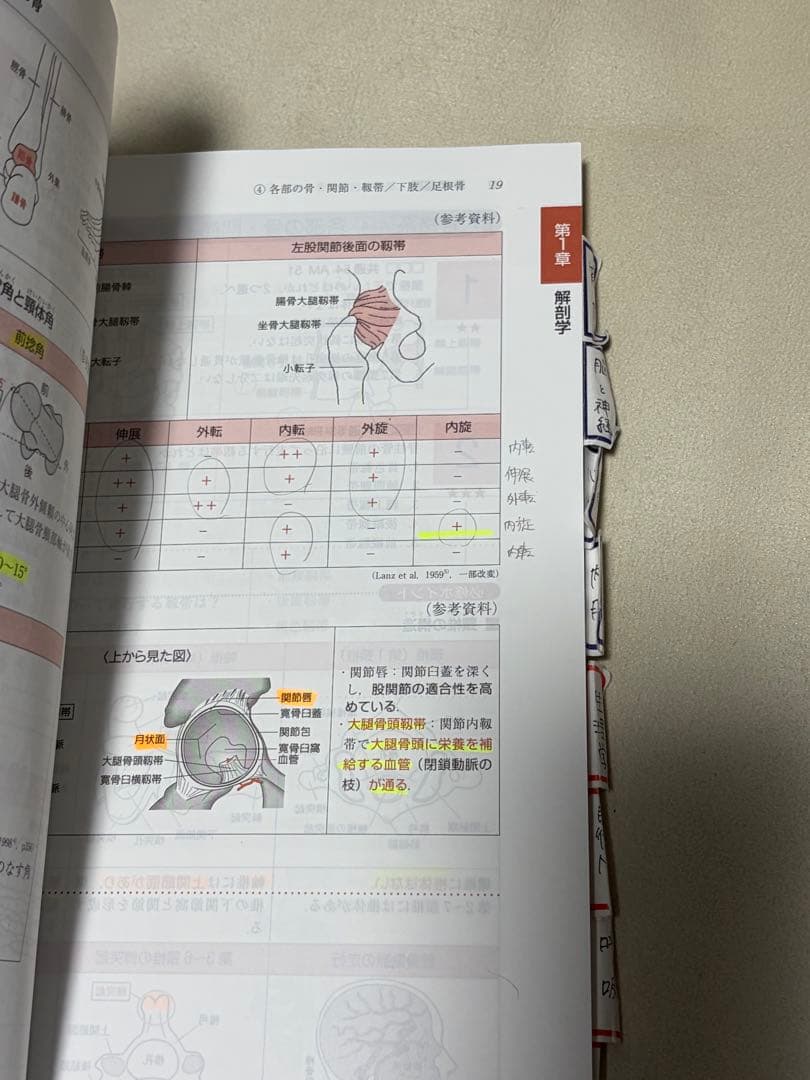 PT・OT 理学療法士 作業療法士 国家試験対策 2026 4冊セット