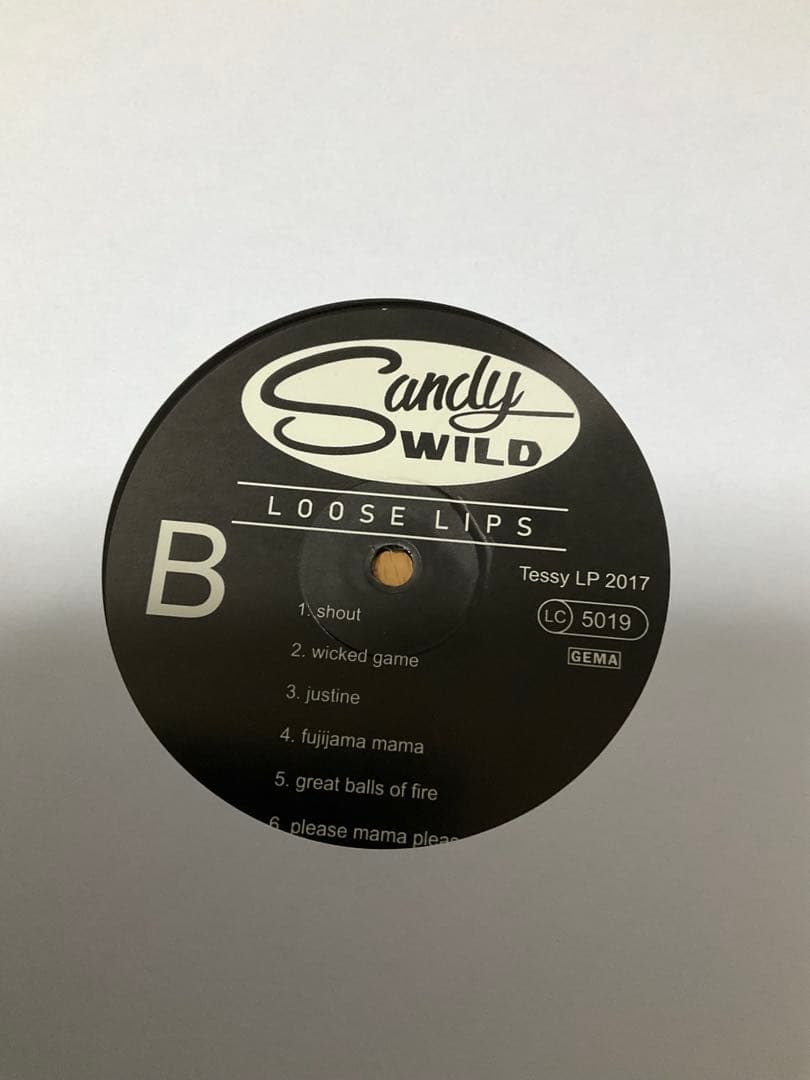 Sandy Wild レコードSANDY & THE WILD WOMBATS