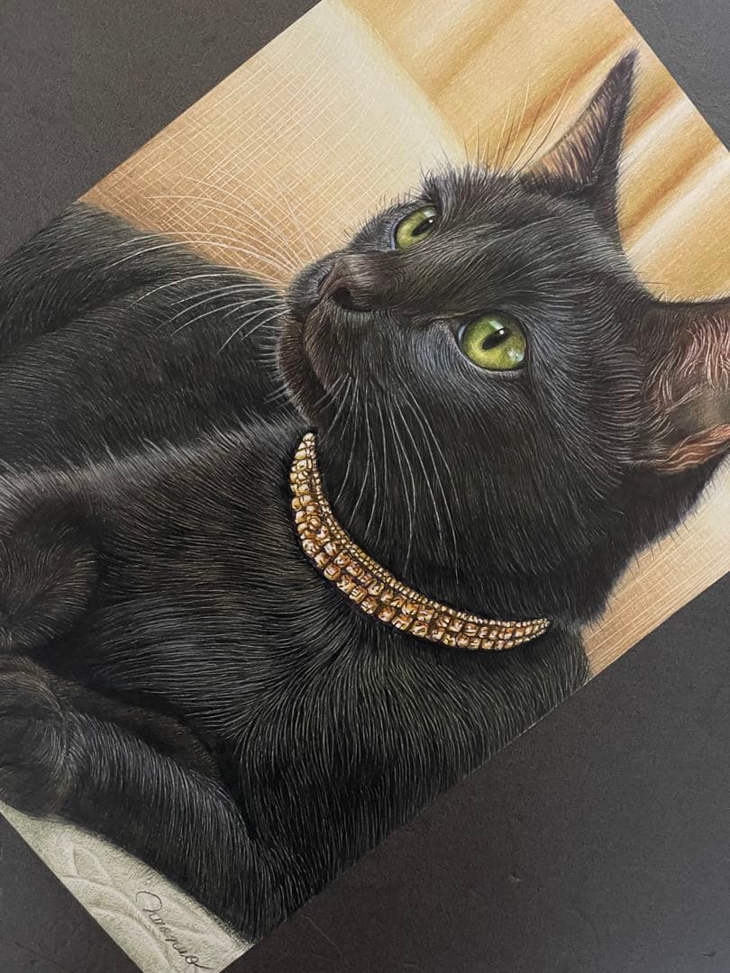 色鉛筆画.A4.黒猫.52