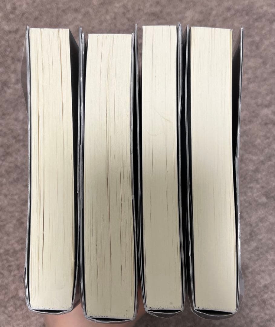 病案本 1〜4巻セット　日本語版　小説　透明カバー付き　肉包不吃肉