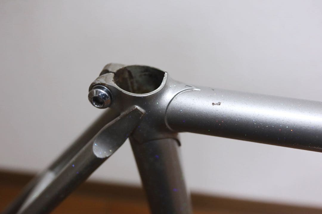 PELOTON プロトン　シルバー ラメ　ピストフレーム