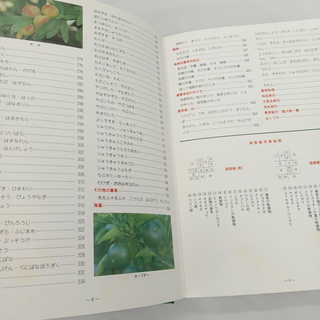 おきなわの薬草百科 多和田真淳　オマケ付き