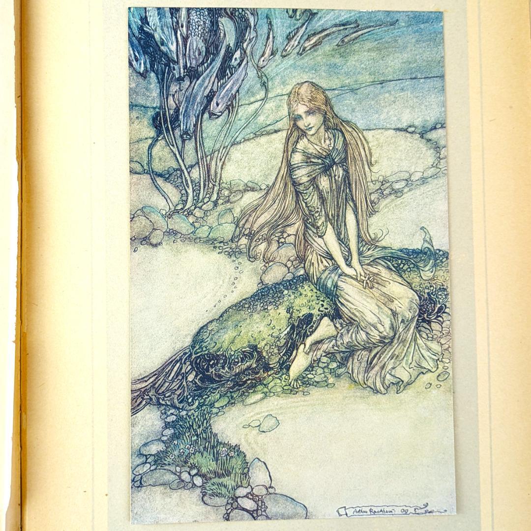 希少な初版 アーサー・ラッカム挿画本『ウンディーネ』1909年 全図15枚揃い
