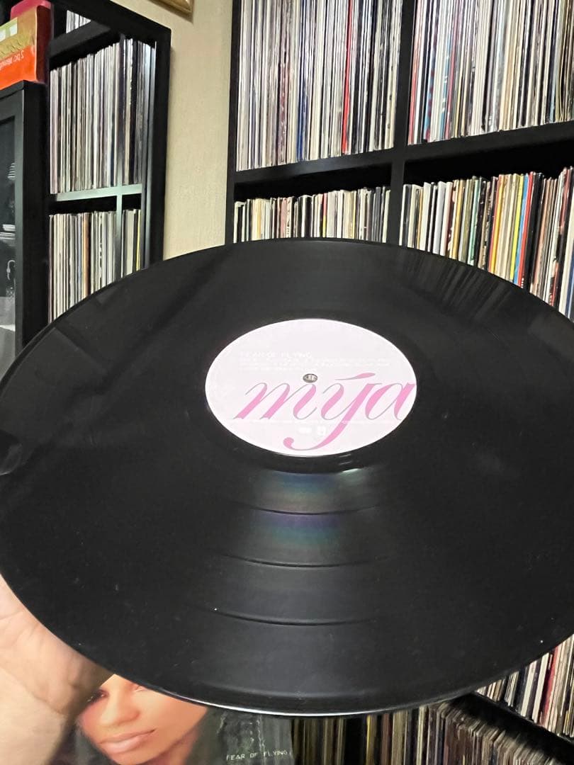 Mya / Fear Of Flying 2枚組LPレコード