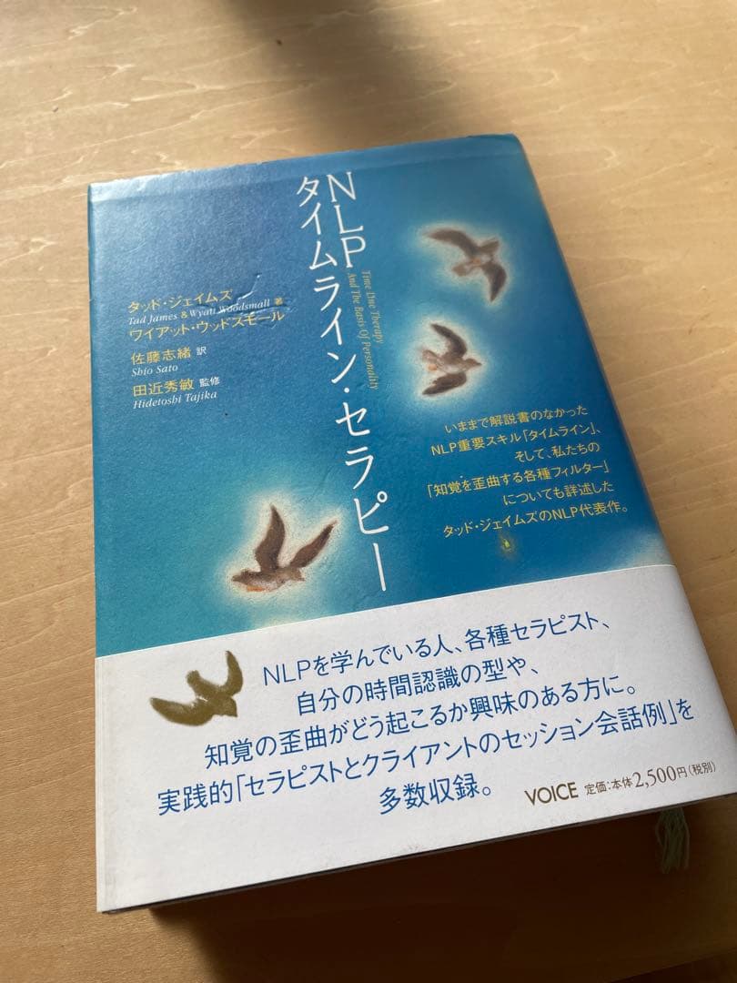 ⭐︎NLPタイムライン・セラピー⭐︎希少⭐︎マーカーありのためお安め