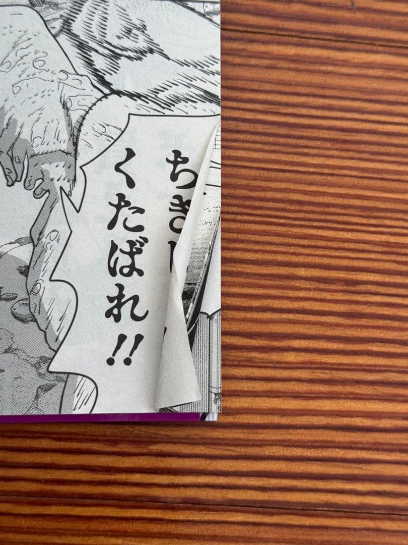 チェンソーマン 単行本 1〜17巻セット