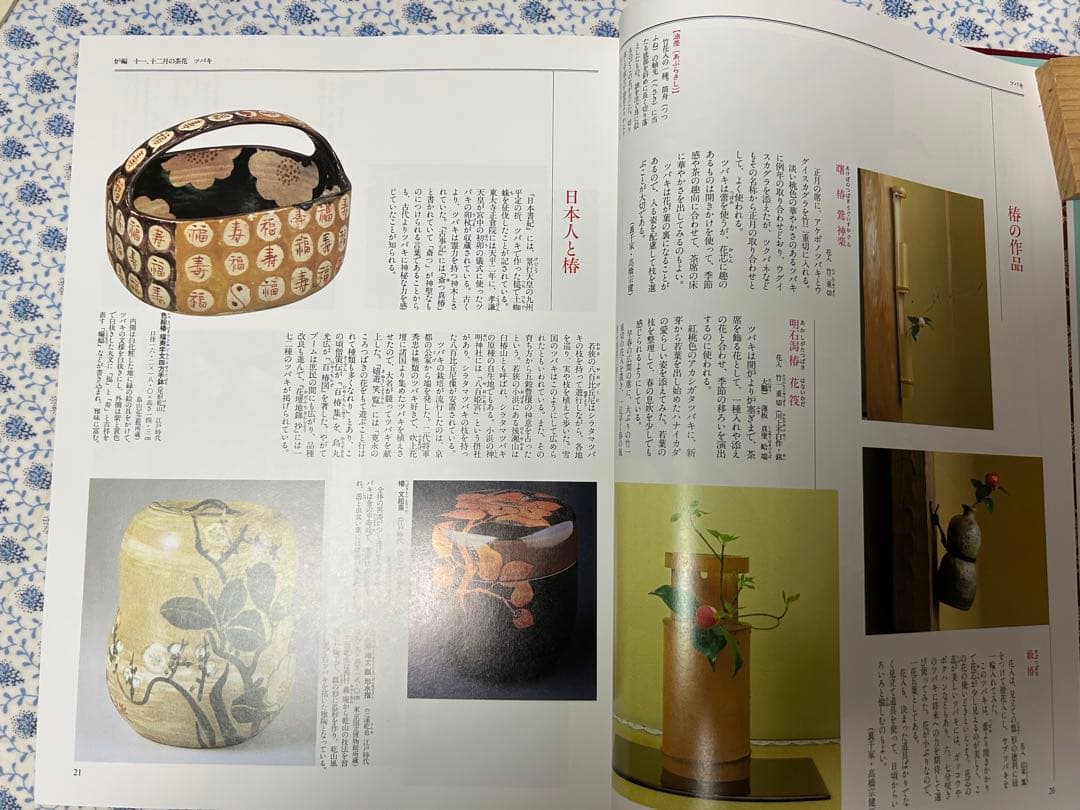茶花野草大図鑑