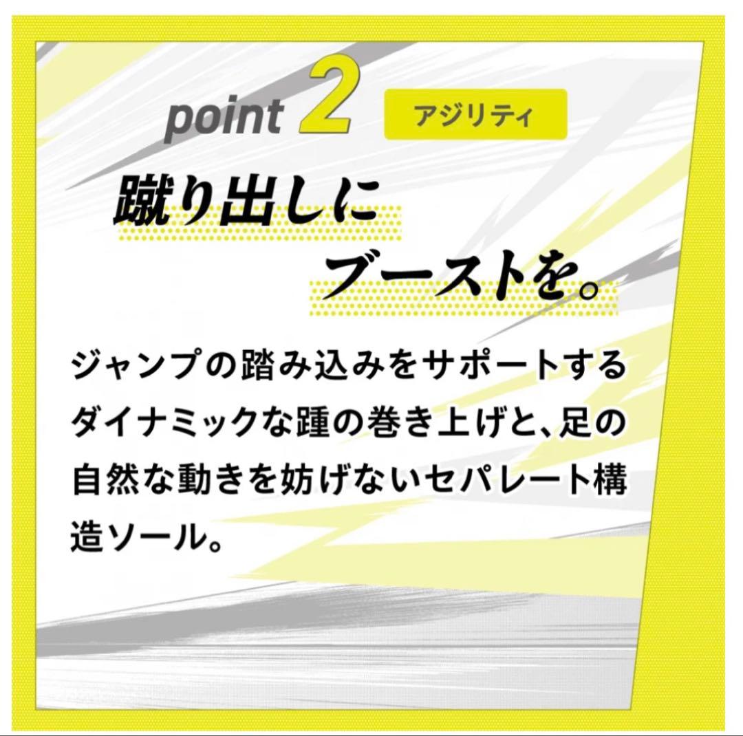 ウエーブライトニング エリート24.0 (バレーボール)