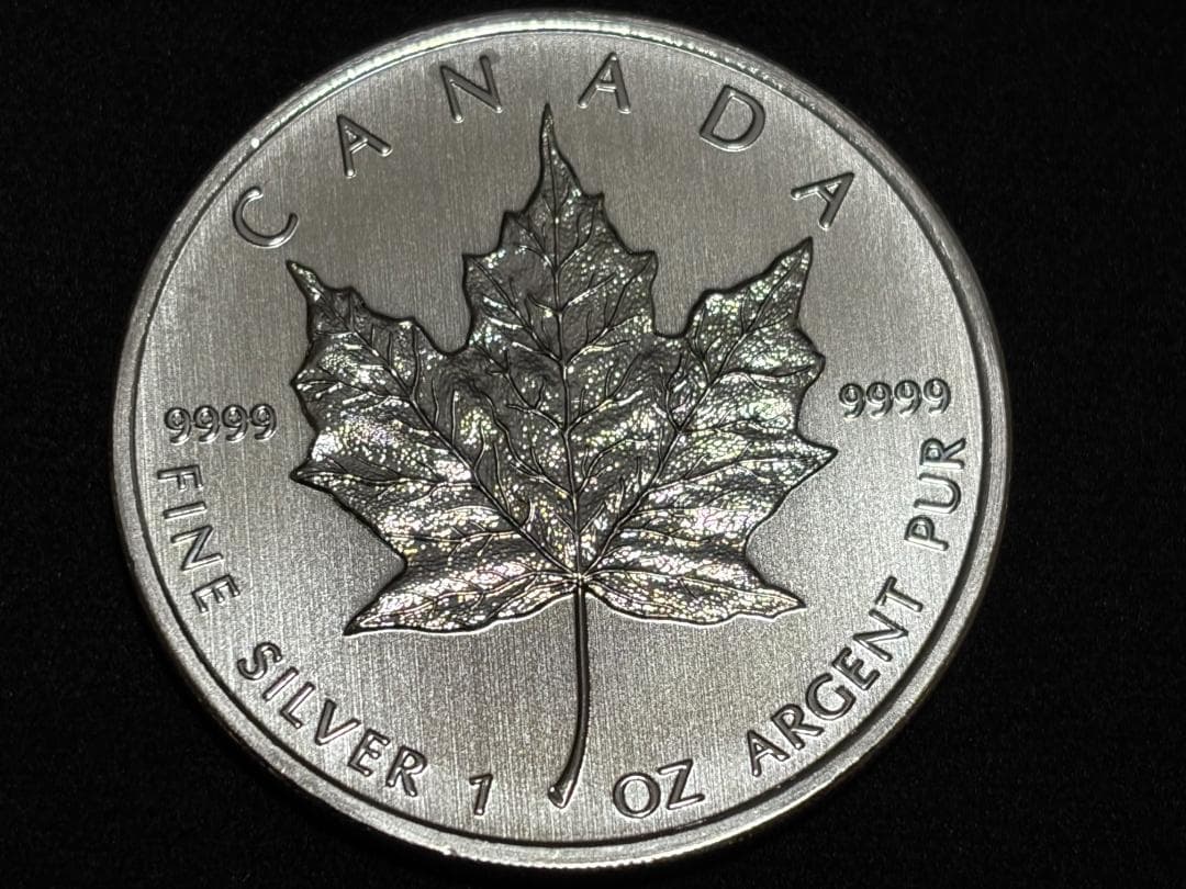 メイプルリーフ銀貨　カナダ 5ドル 純銀貨 エリザベス2世 2010年