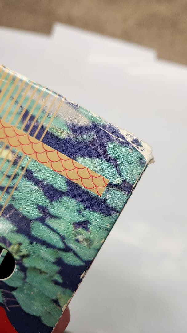 雷魚釣り関連書籍セット　雷魚の本まとめ