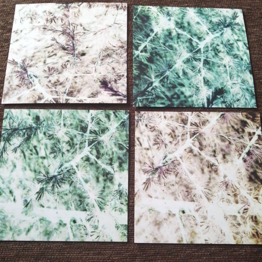 GAS　「NAH und FERN」CD4枚組