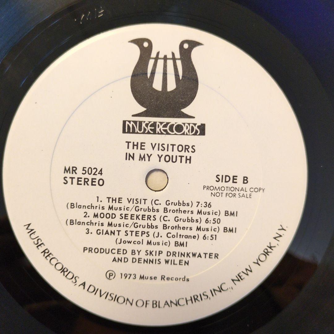 洋楽 The Visitors / In My Youth LP