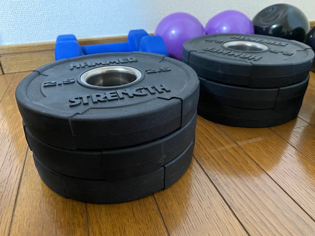 HAMMER STRENGS ダンベルプレート 2.5kg 6枚セット