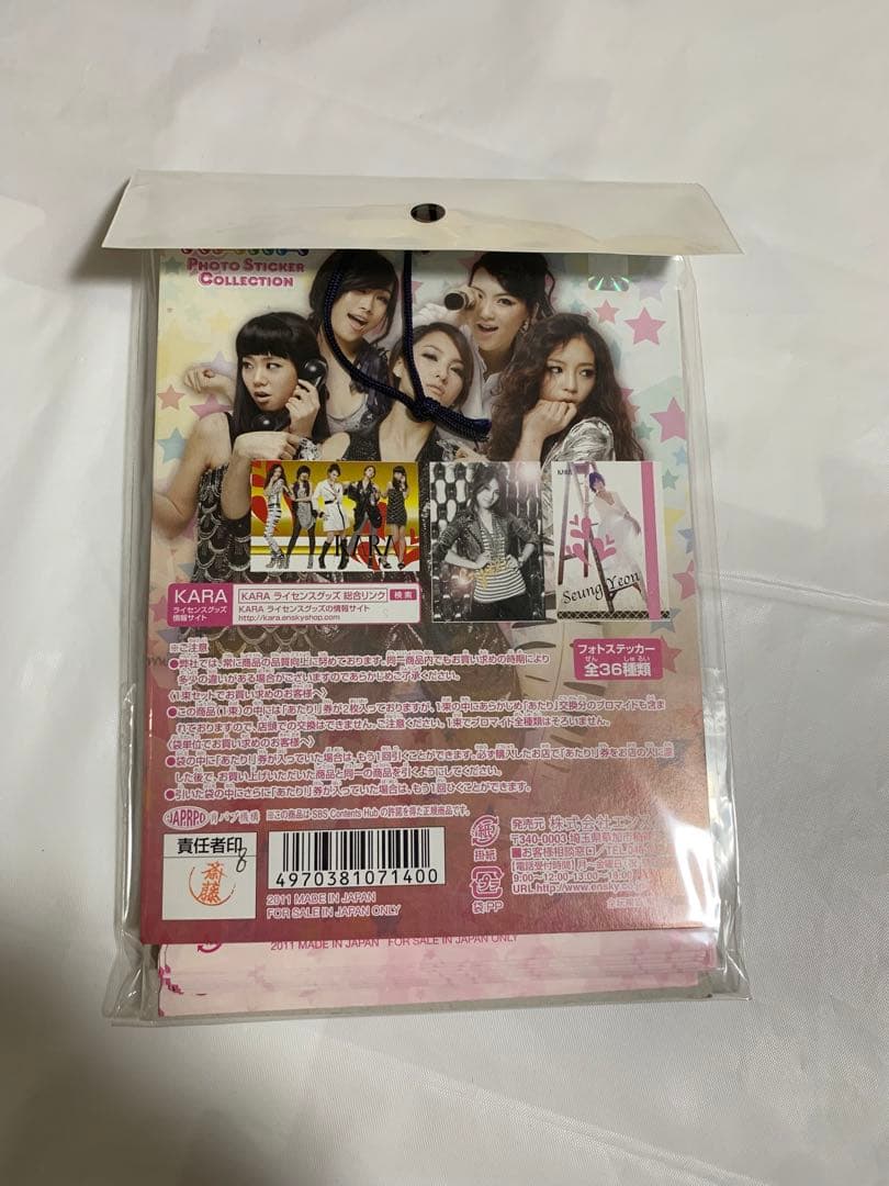 KARAのグッズ15点セット【CD.DVD.写真集、タオル、Tシャツ】K-POP