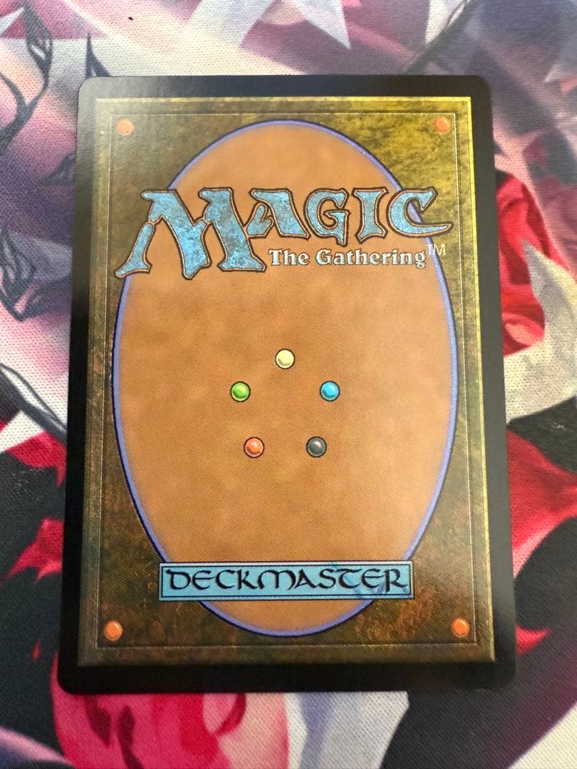 MTG 悟りの教示者 DMR 旧枠英語版foil 1枚