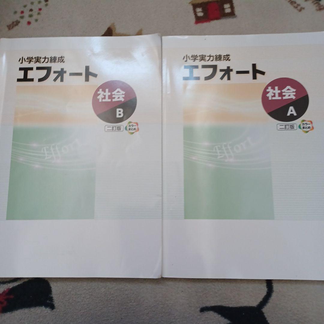 名進研　完全制覇シリーズ　受験社会*算数*国語*理科　サーパス　エフォート　6年
