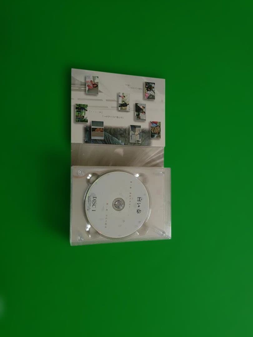 白い春 DVD