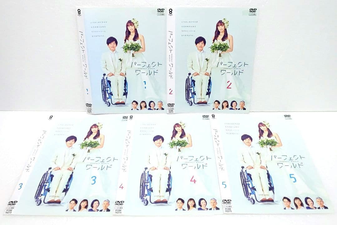 パーフェクトワールド DVD 全巻 セット ドラマ 松坂桃李 山本美月 松重豊