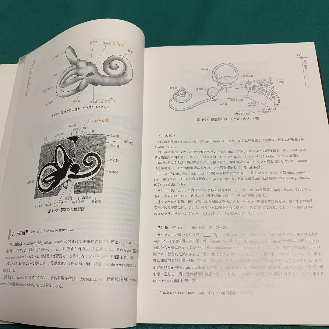 新耳鼻咽喉科学