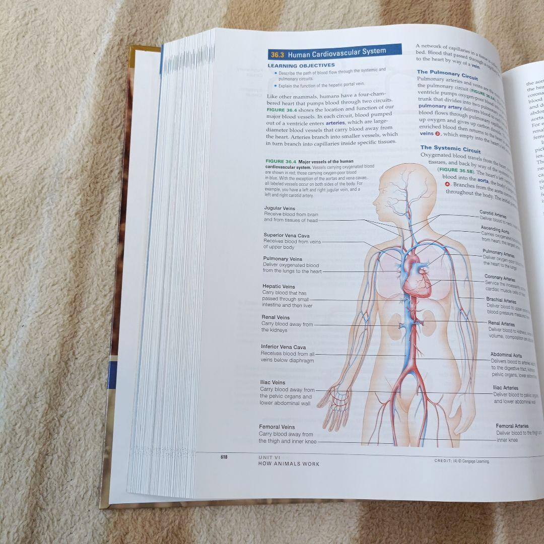 語学・辞書・学習参考書 BIOLOGY AP Edition