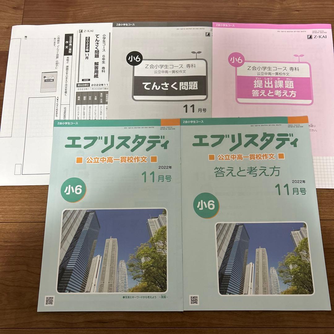 Z会 エブリスタディ 公立中高一貫校 作文 小6 2022年　4〜12月