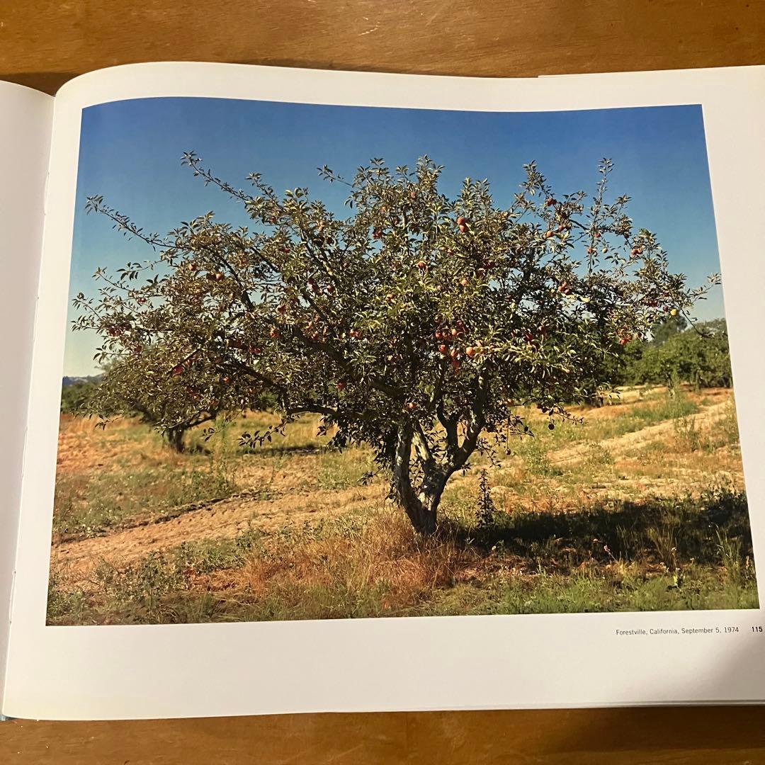 Stephen Shore Ucommon Places 写真集　美品です。