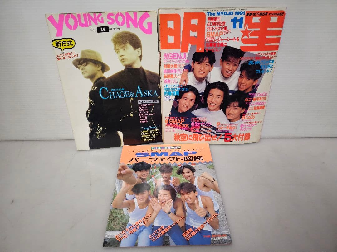 1991年１月号～12月号全巻コンプリートセット！明星 集英社/付録 ポスター付