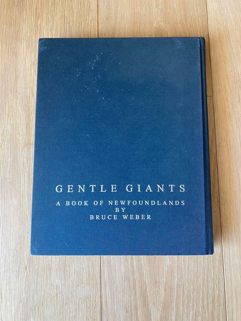 GENTLE GIANTS: ブルースウェーバー