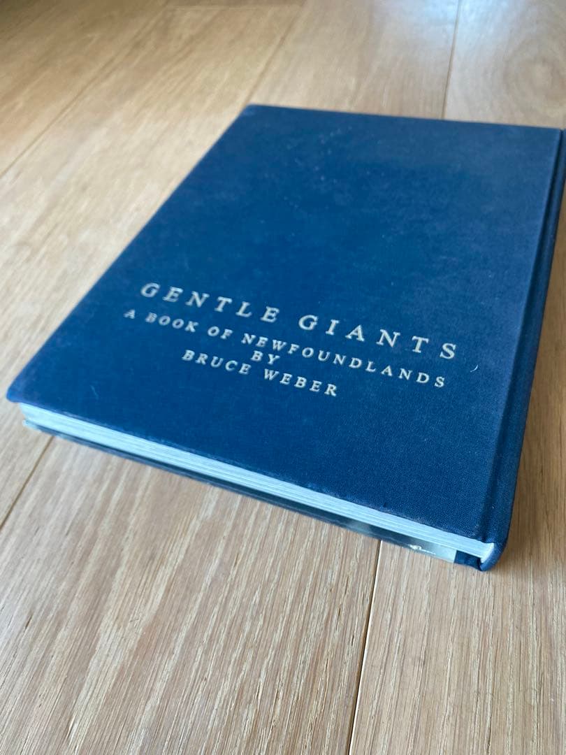 GENTLE GIANTS: ブルースウェーバー