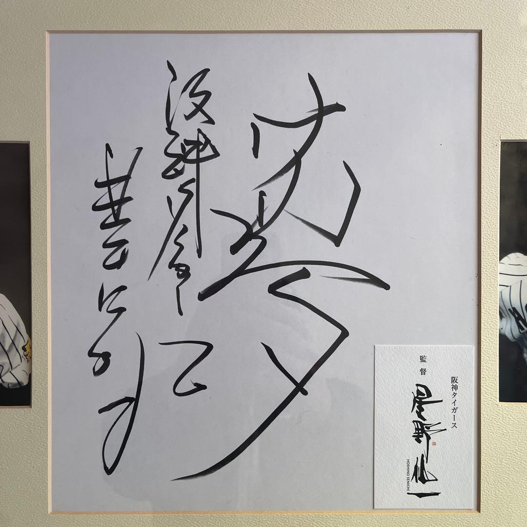 【希少】元阪神タイガース監督　星野仙一監督　サイン色紙（写真付き）額縁