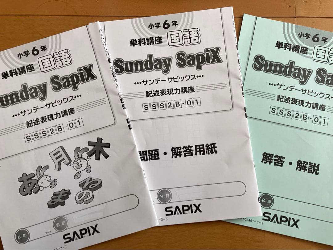 SAPIX SS特訓　単科　国語　記述表現力講座　2024年度版　全14回