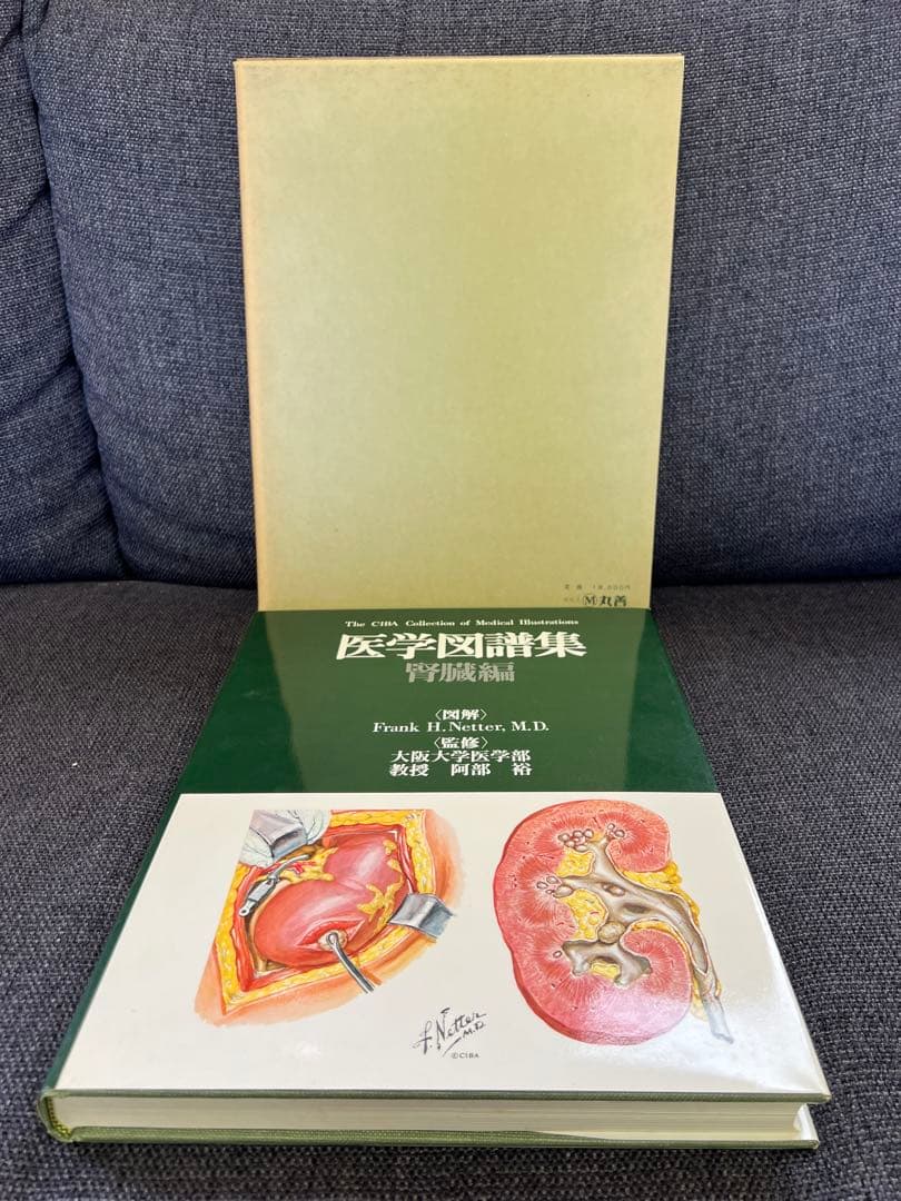 医学図譜集 腎臓編【Frank H. Netter 解剖学専門書 医学イラスト本