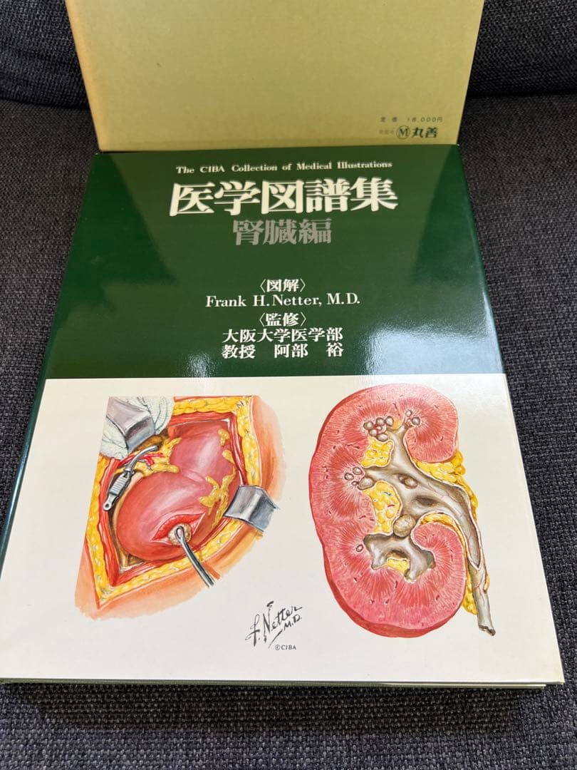 医学図譜集 腎臓編【Frank H. Netter 解剖学専門書 医学イラスト本