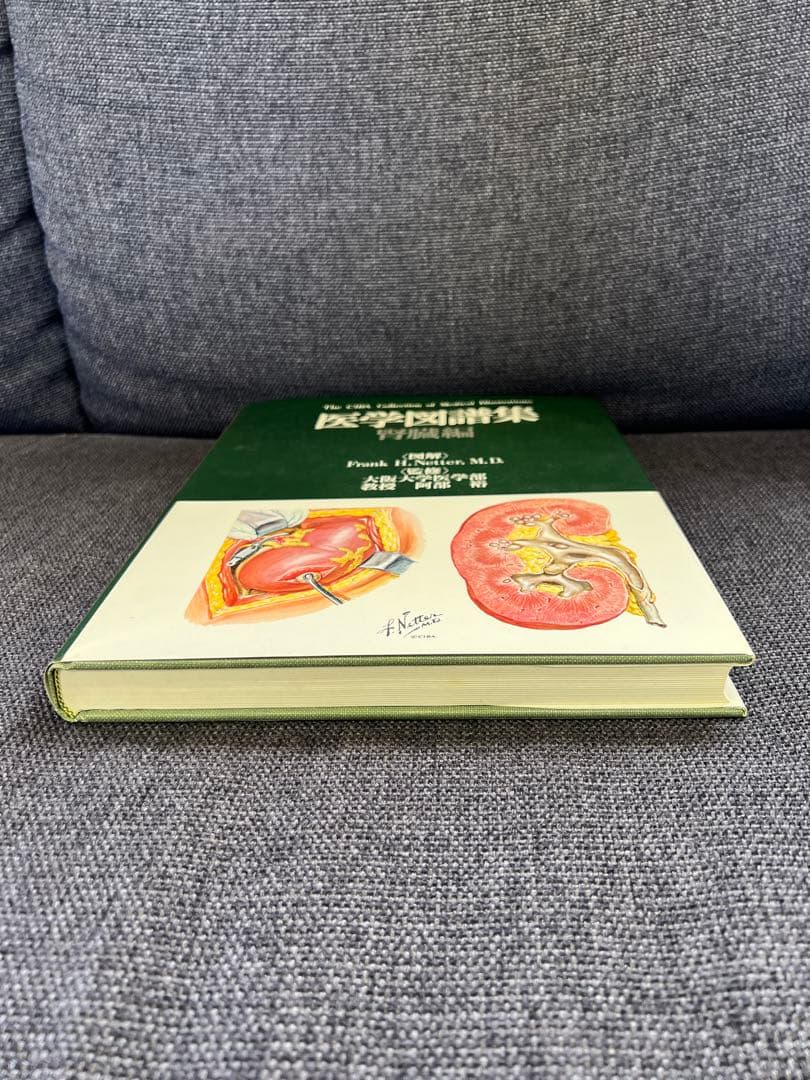 医学図譜集 腎臓編【Frank H. Netter 解剖学専門書 医学イラスト本