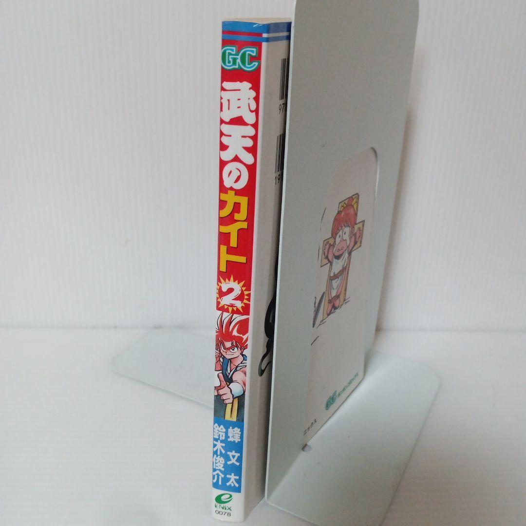 武天のカイト 2巻 初版 希少 廃盤 コミック マンガ 漫画 ガンガンコミックス