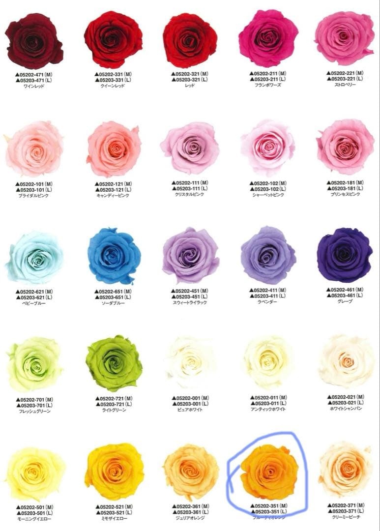 ROSEJUNO プリザーブドフラワー 12輪の薔薇 未開封 お渡し袋付