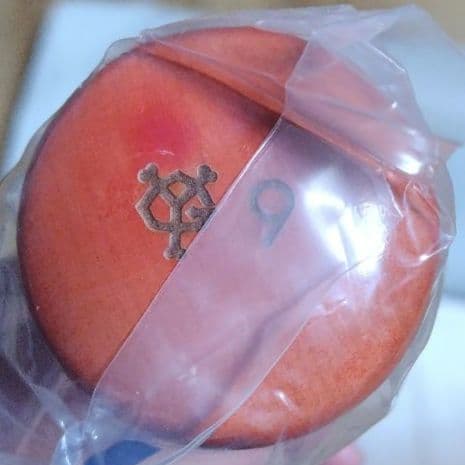 読売ジャイアンツ　亀井善行 引退記念 オーセンティックバット 侍ジャパン wbc