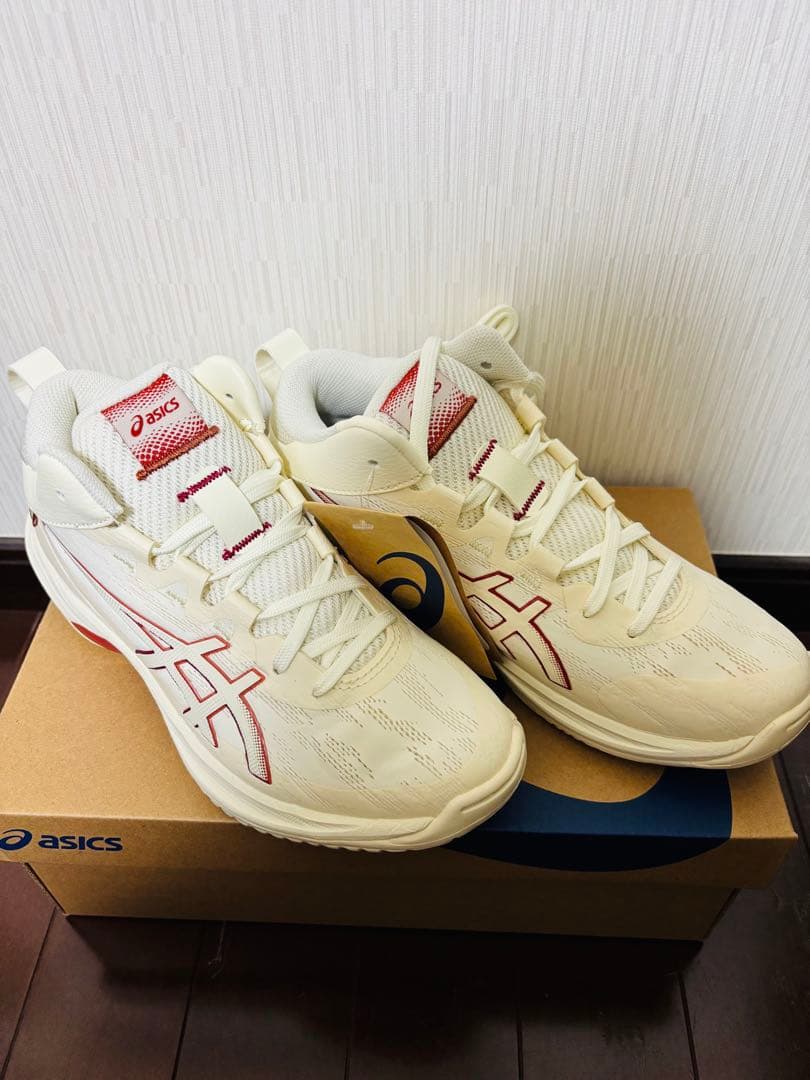 新品 アシックス（ASICS）バッシュ GEL HOOP V17 23cm