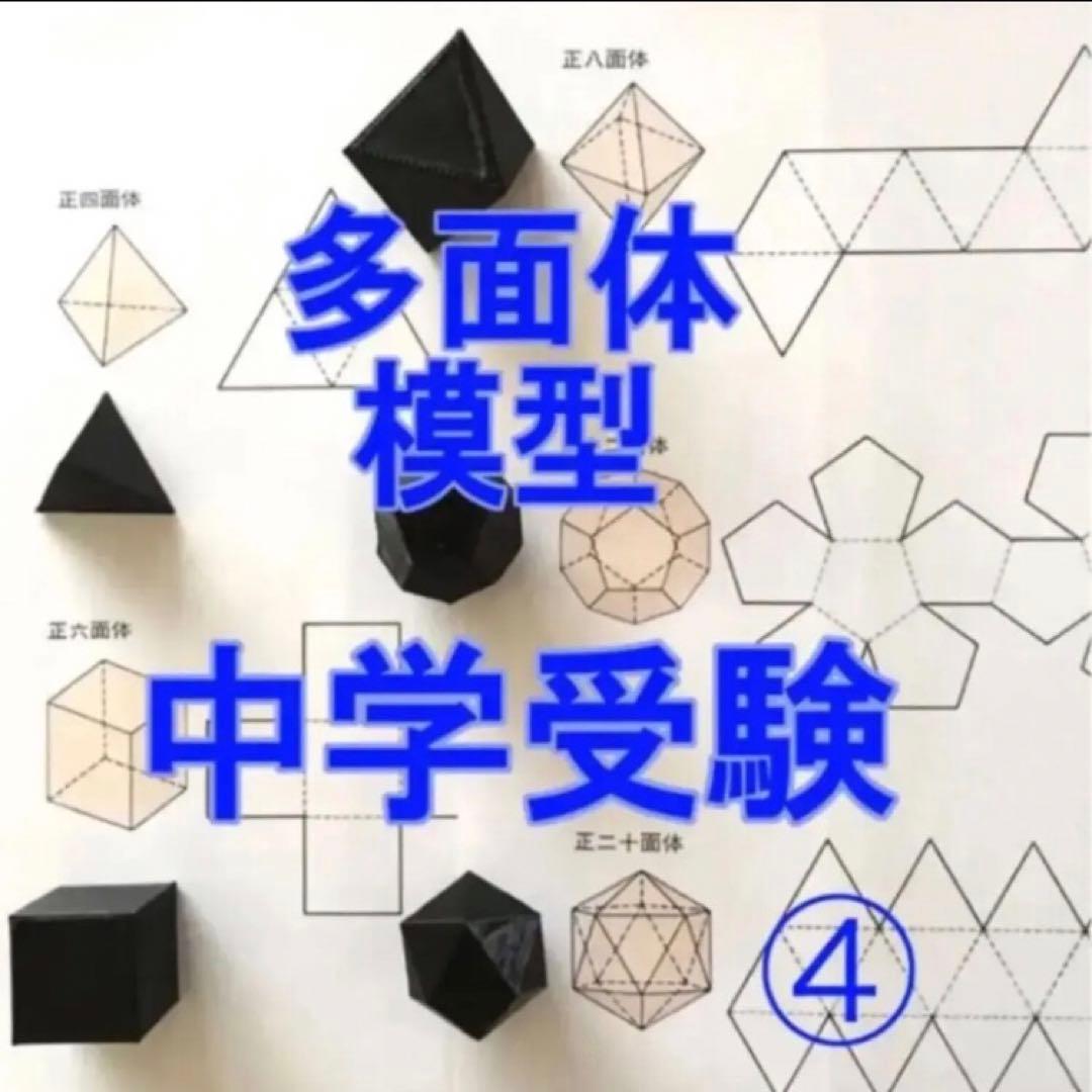 ⭐︎そら⭐︎立体の切断模型 ①②③④⑤⑥⑦⑧⑨⑩セット