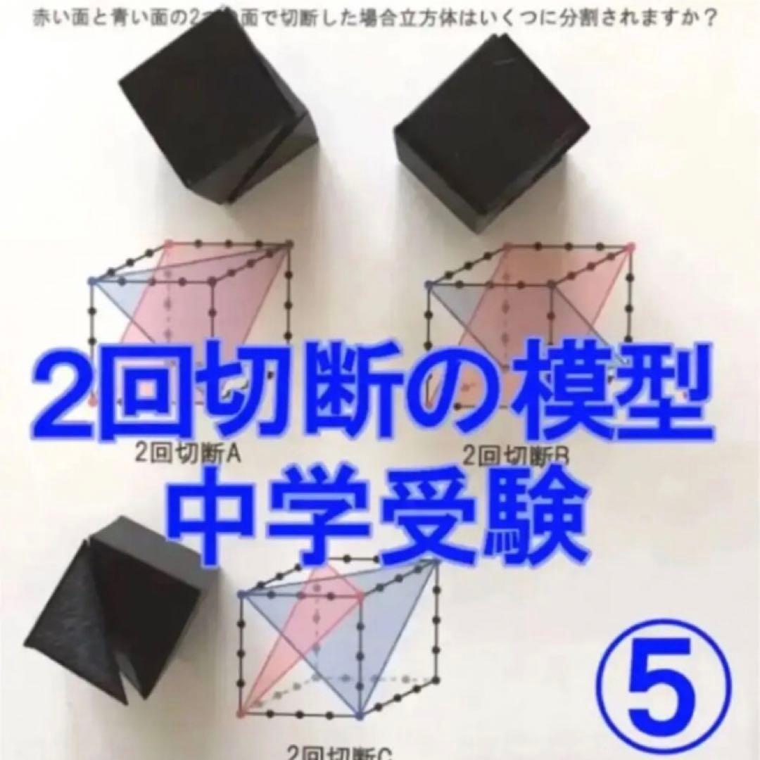 ⭐︎そら⭐︎立体の切断模型 ①②③④⑤⑥⑦⑧⑨⑩セット