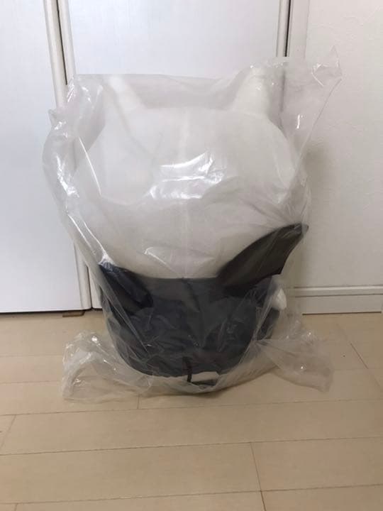 未開封邪神ちゃんBIGぬいぐるみ