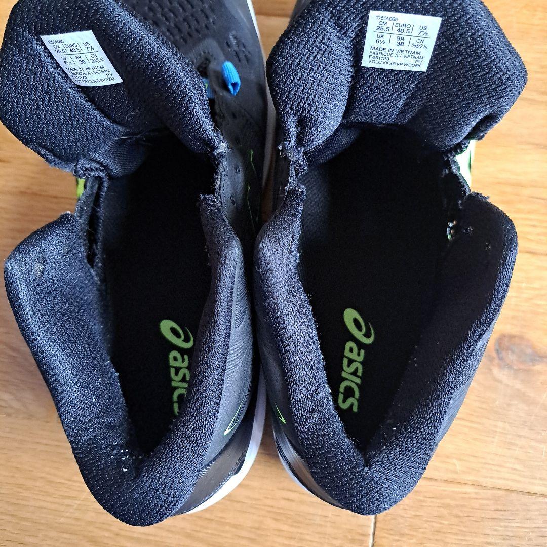 ASICS　SKY ELITE FF