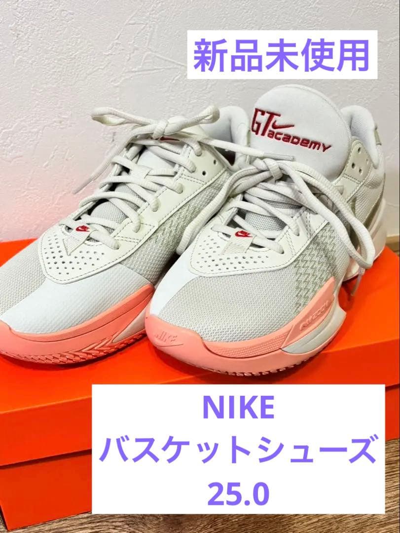 Nike GT Academy バスケットボールシューズ　⭐️新品未使用箱付⭐️